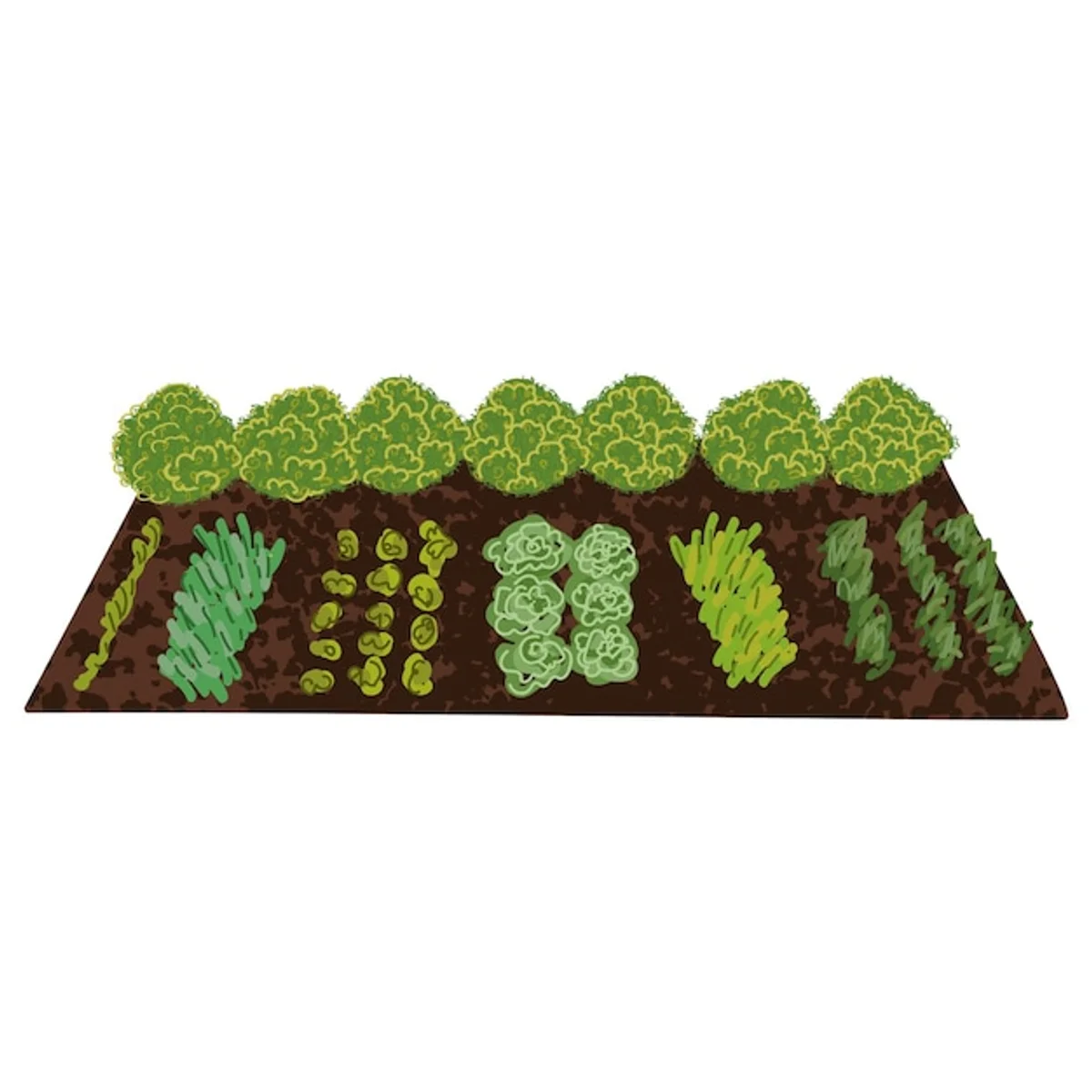 organic gardening natural tricks vibrant german backyard