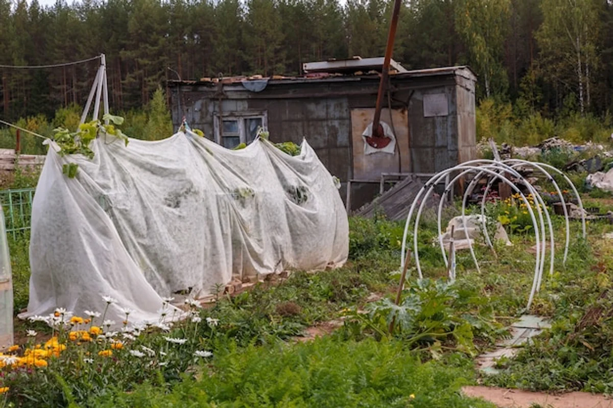 herbs greenhouse small garden winter growing