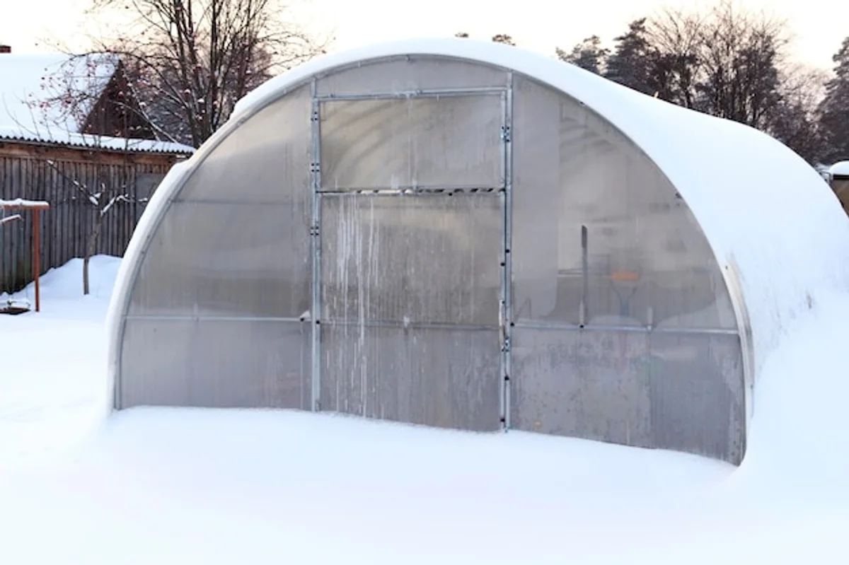 harvesting herbs greenhouse snow outside