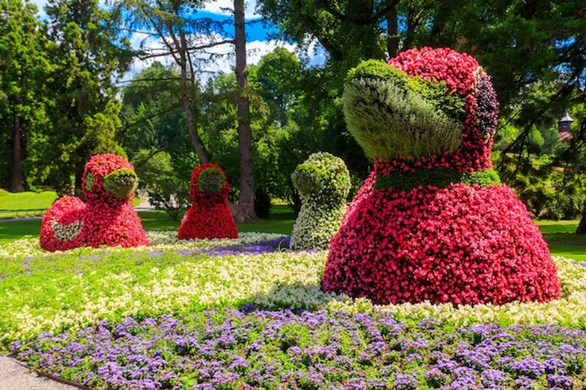 unusual ornamental plants in german garden