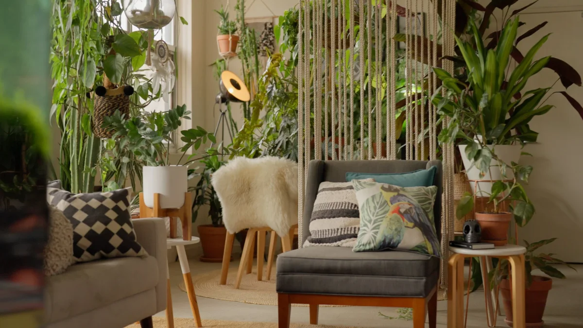 natural remedies apartment plants aphid prevention cozy home setting