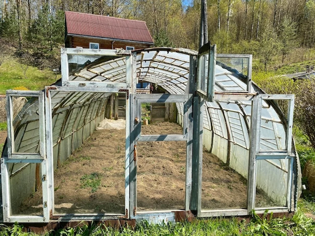 diy greenhouse made from old windows in backyard