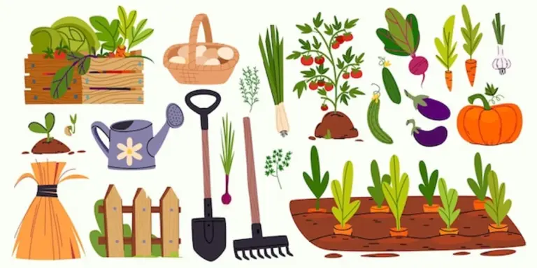 carrot garden coffee grounds organic gardening