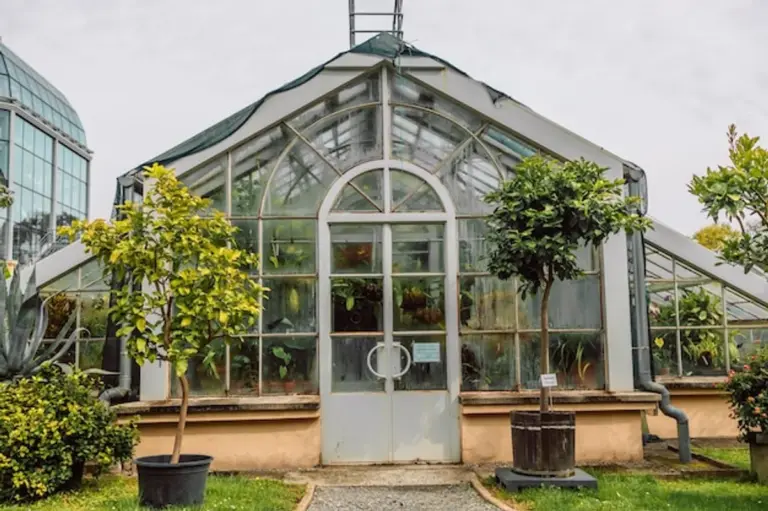 DIY greenhouse Germany garden creative construction