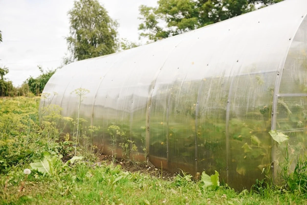 homemade mini greenhouse with wooden frame and clear plastic cover