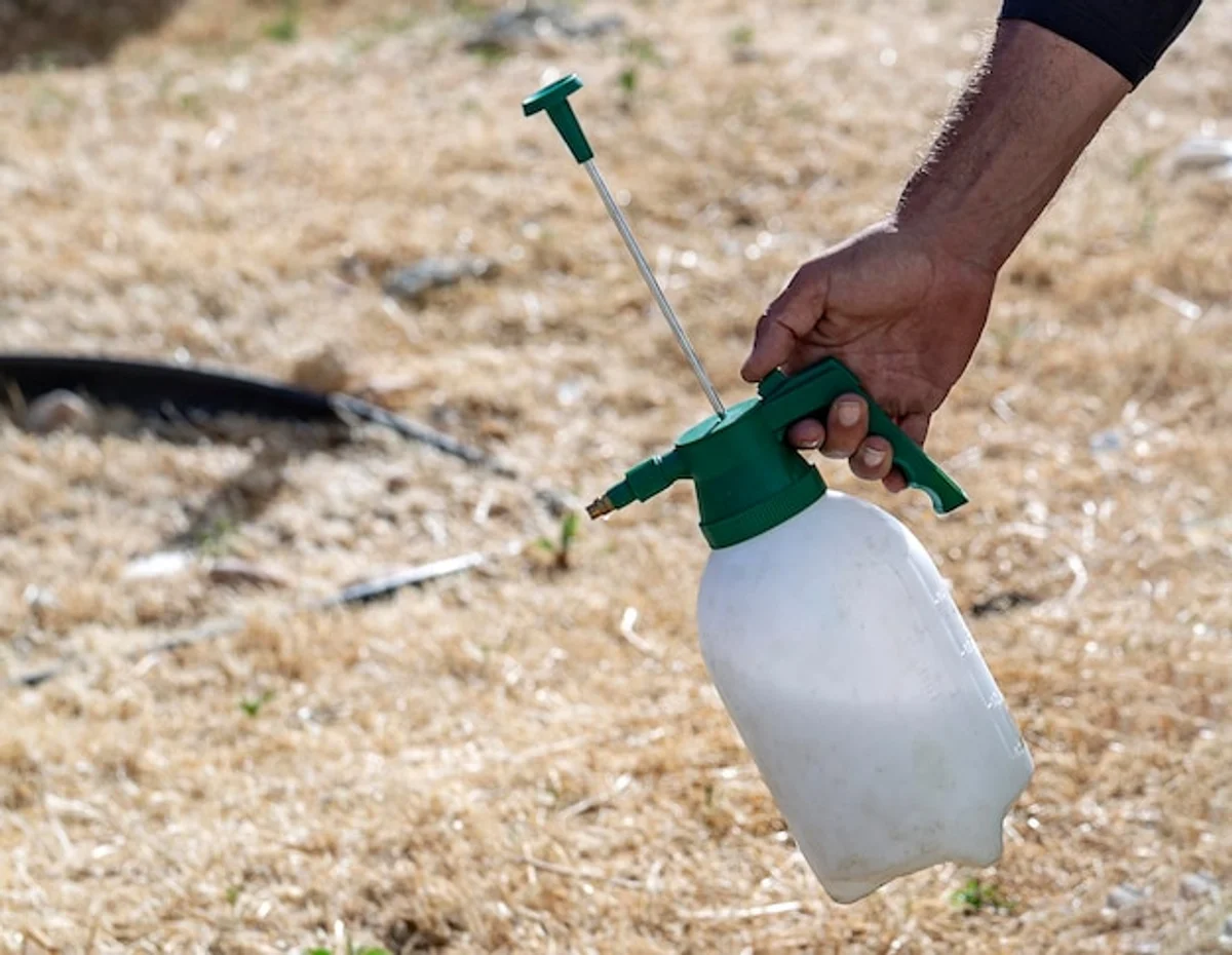 vinegar spraying weeds orchard