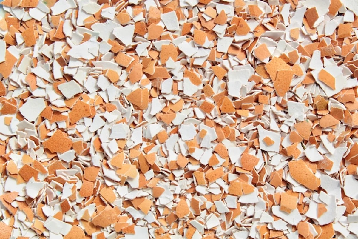 eggshells as natural fertilizer soil nutrition close-up
