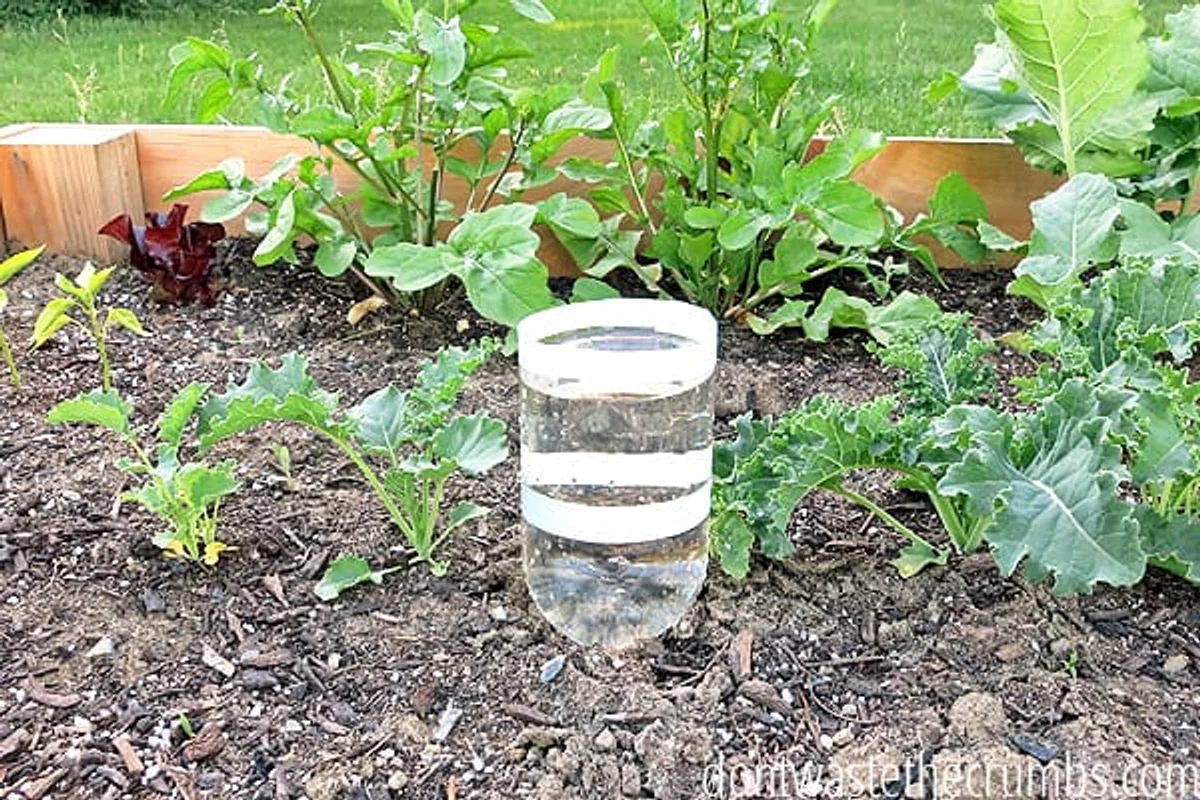 diy garden watering solution dry soil Germany