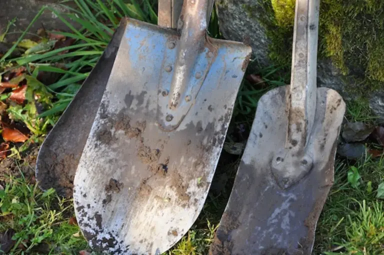 rusty and clean garden shears comparison