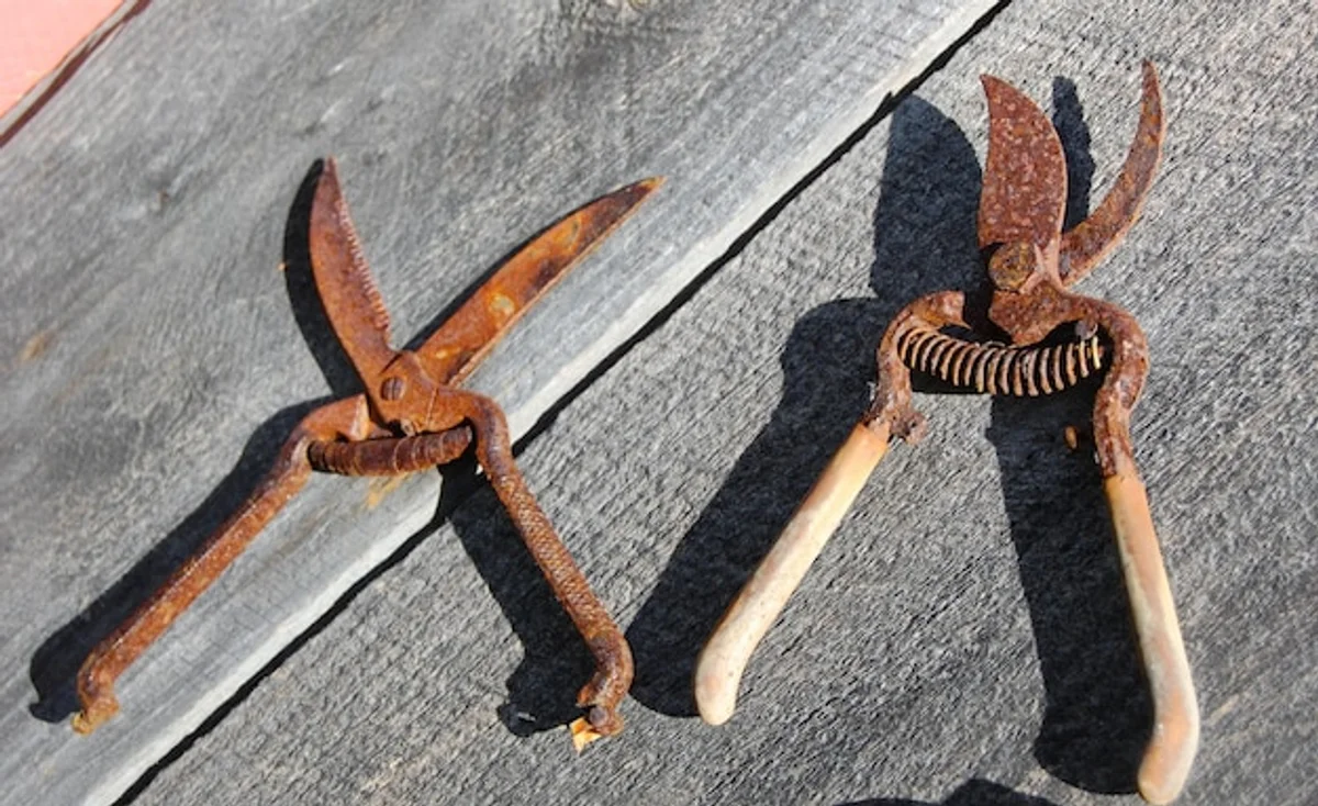 rusty garden pruners on wooden table