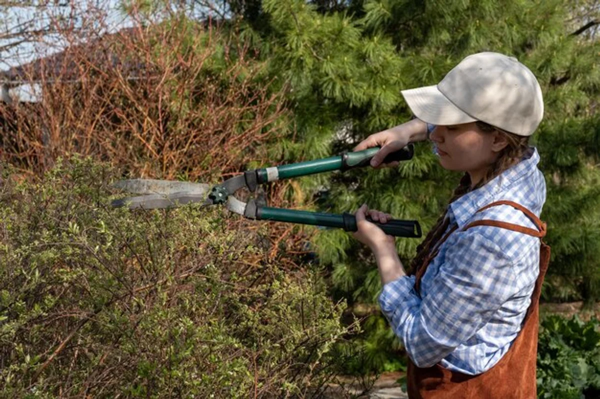 cleaning pruning shears with cloth hand closeup