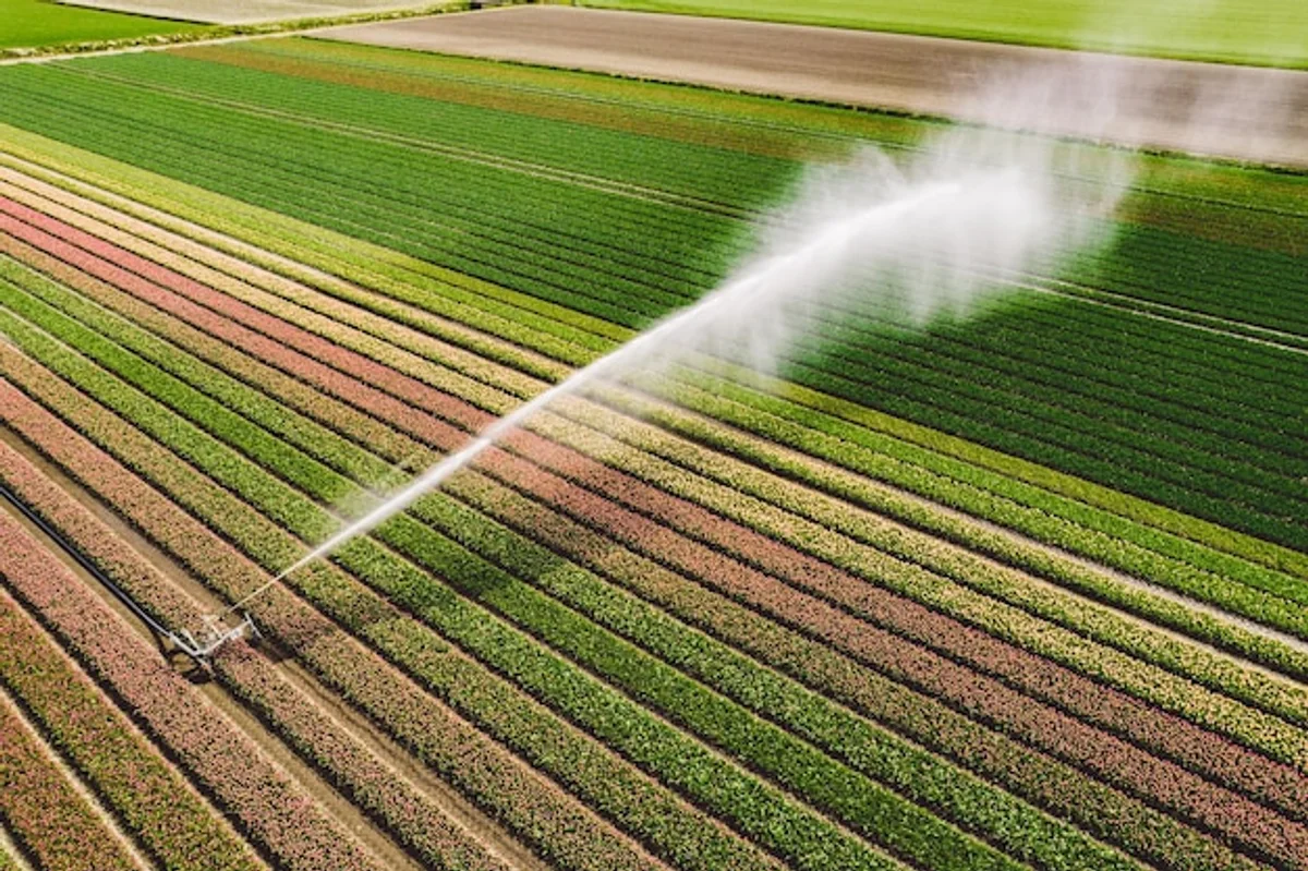 modern german garden drip irrigation