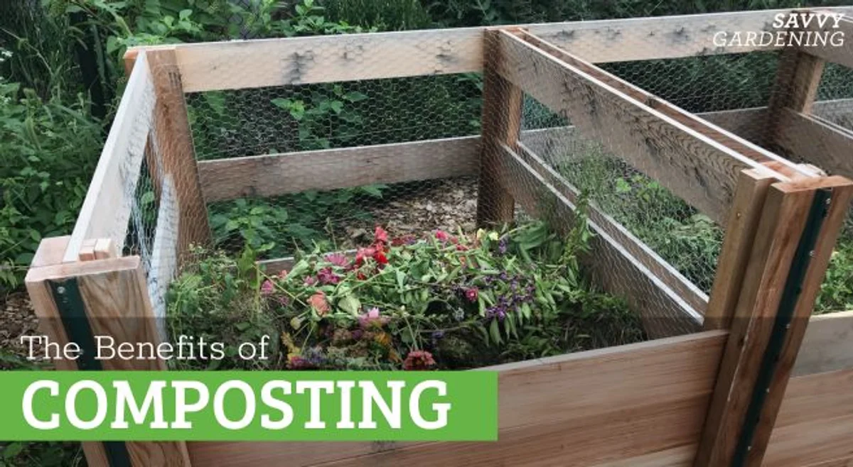 spreading compost on green lawn, spring gardening in Germany