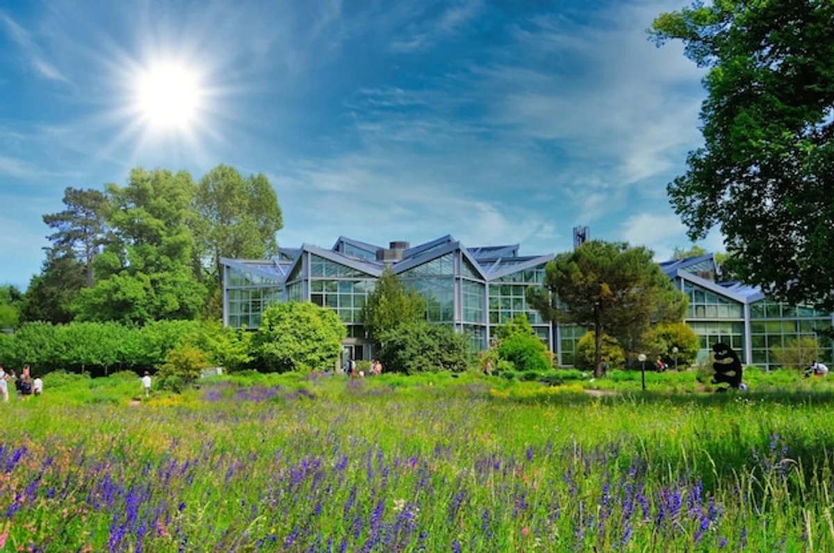 luxury glass greenhouse in German garden