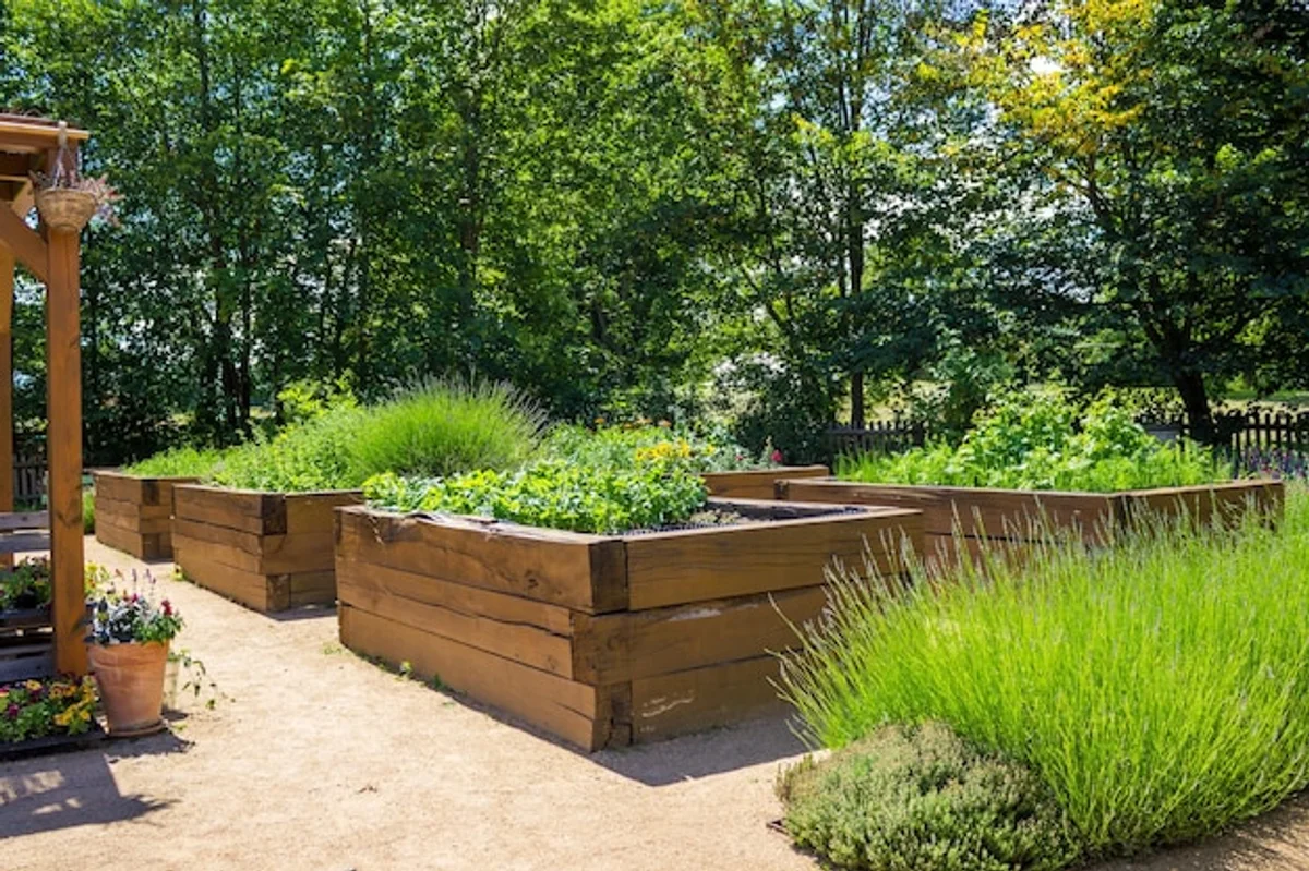 no dig vegetable garden raised bed Germany