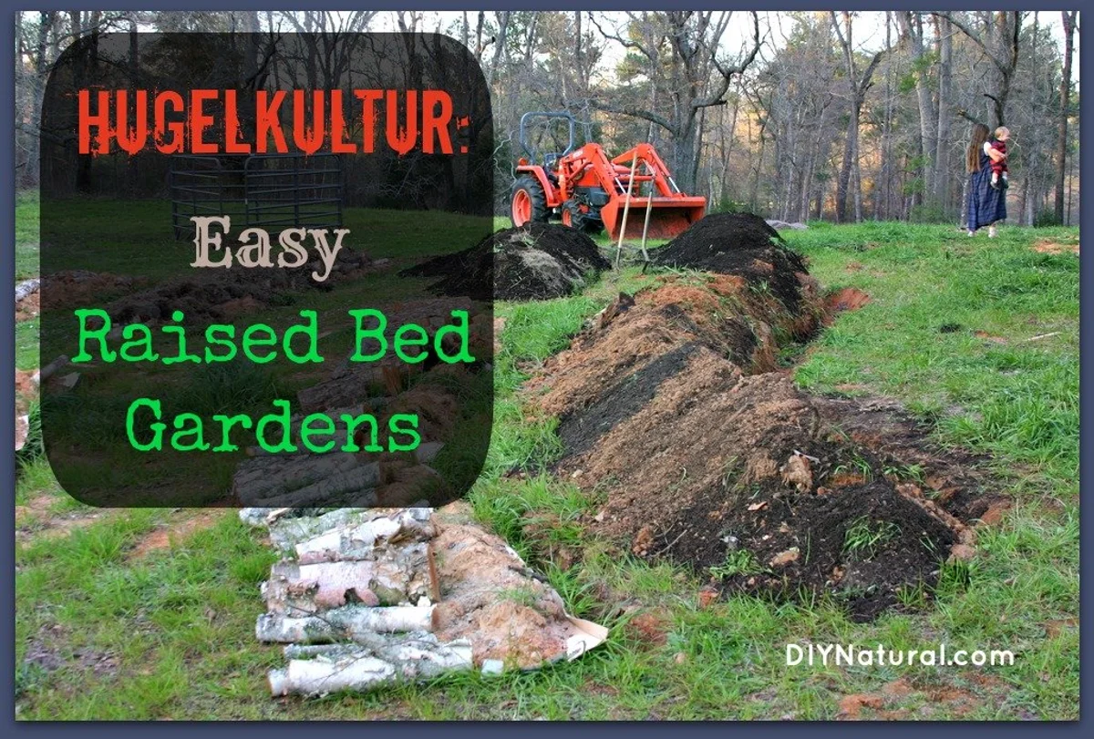 mulched vegetable garden bed beginners Germany