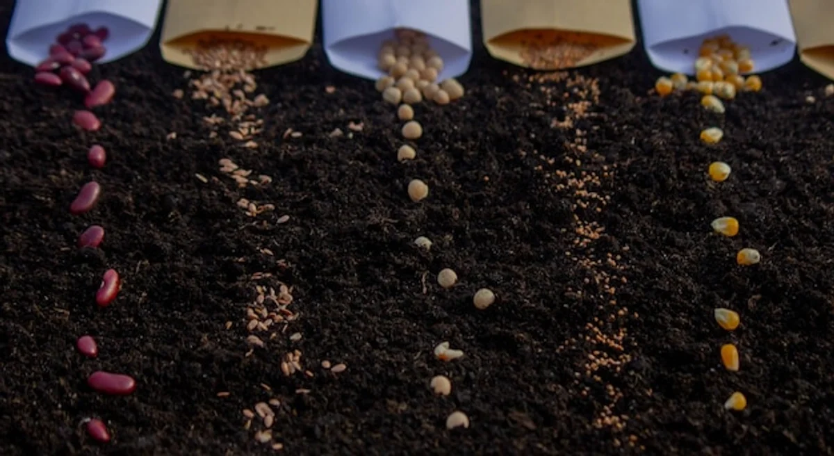 lawn soil preparation macro Germany