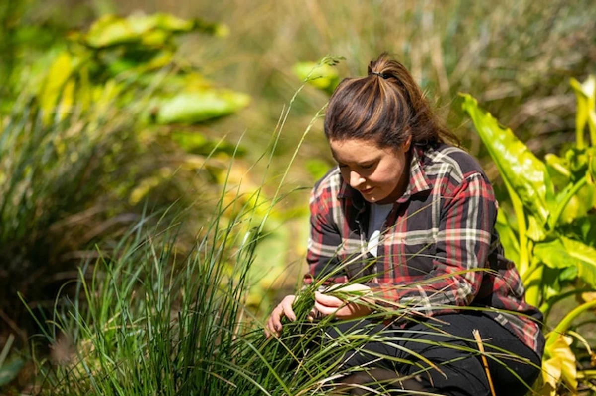 checking soil for healthy lawn roots