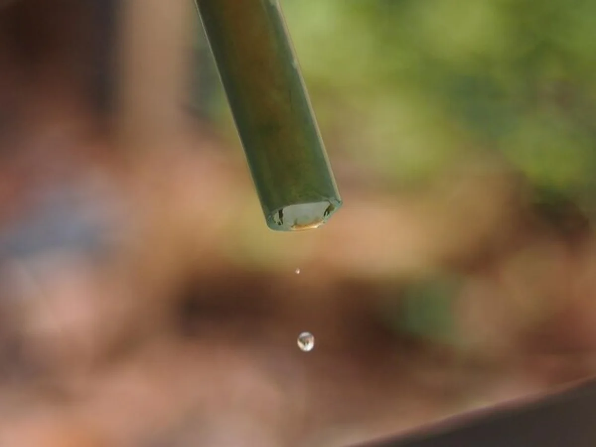 spraying vinegar on lawn close up