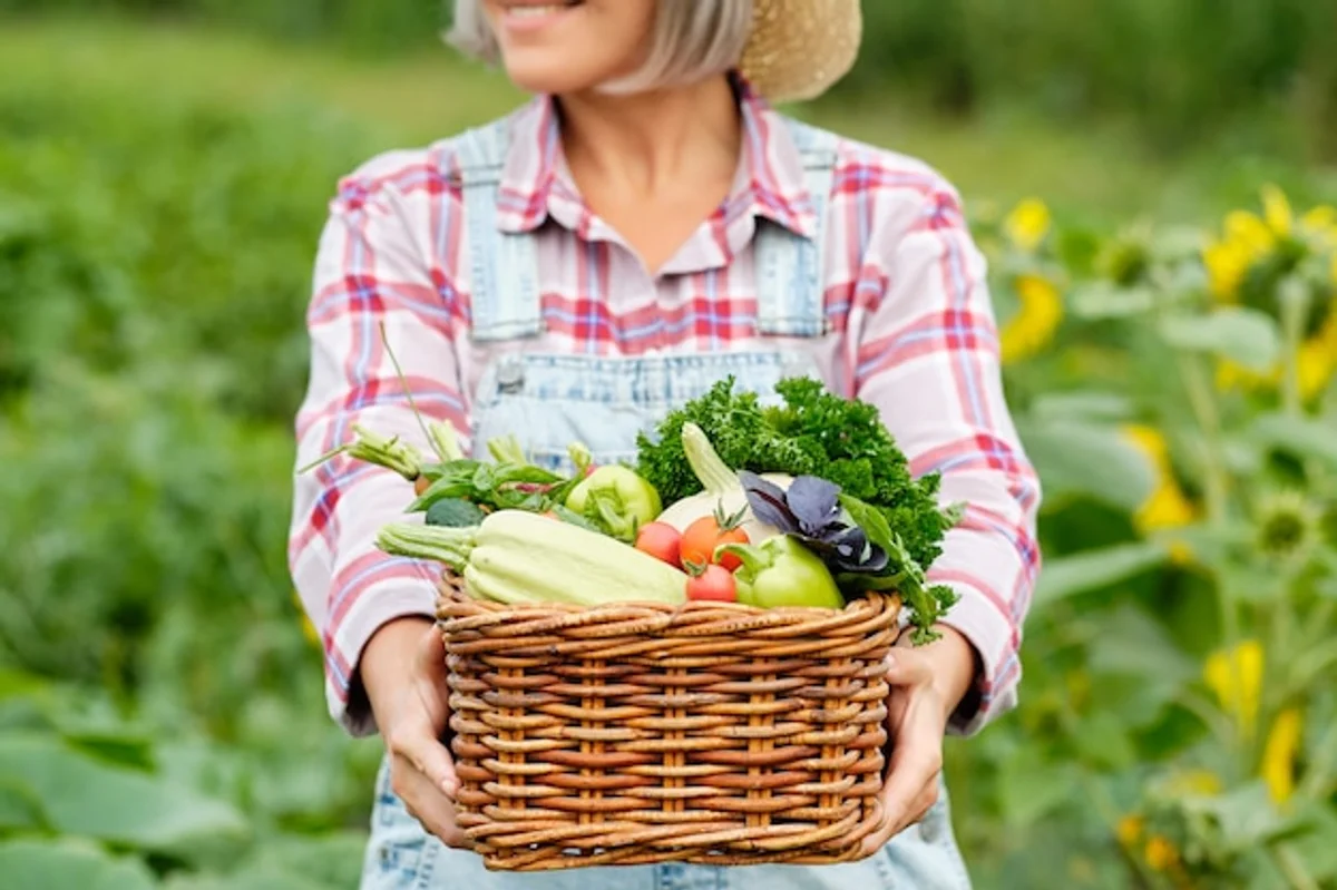 fresh organic vegetable garden harvest germany
