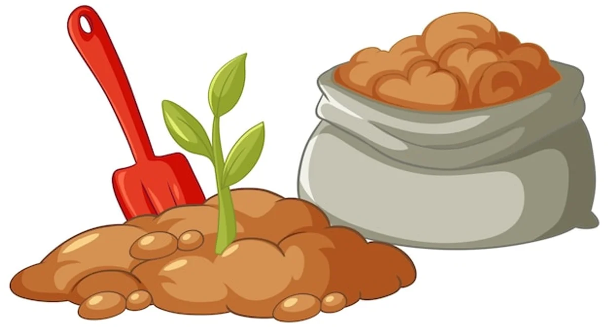 seed germination kitchen waste natural booster