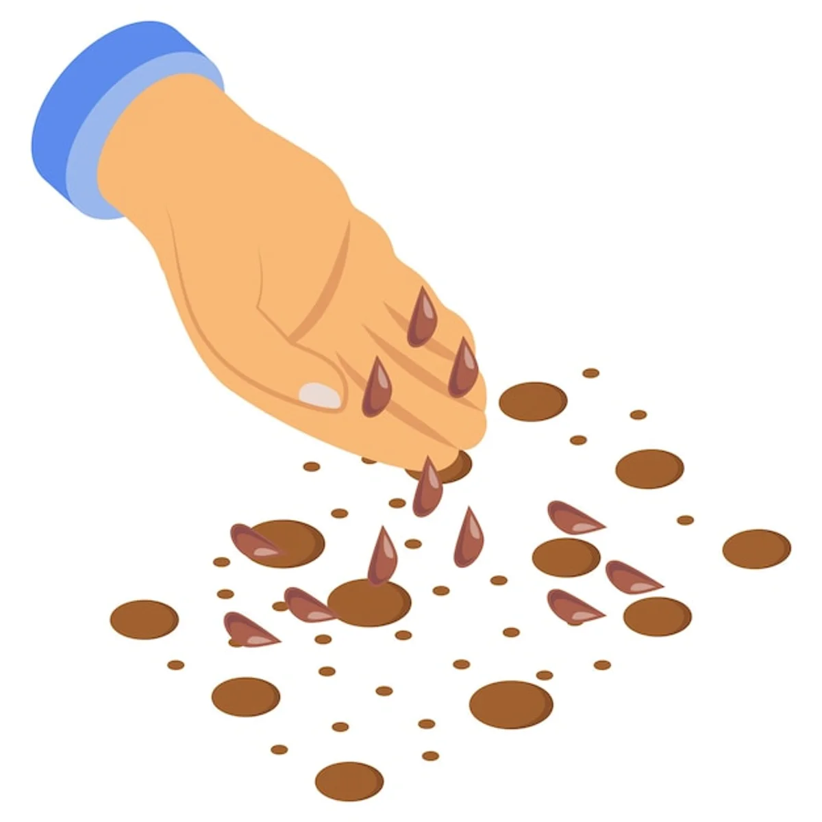 potato peels soaking water for seeds