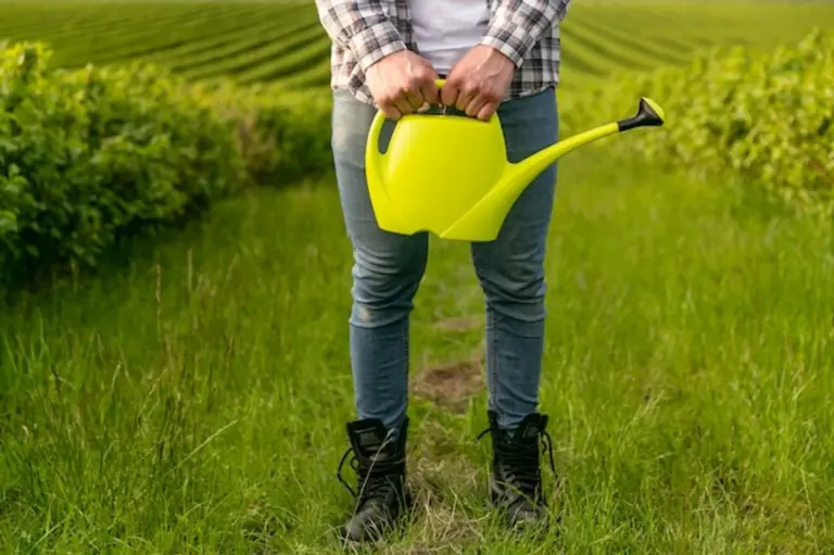 senior gardening ergonomic tools raised bed healthy lifestyle