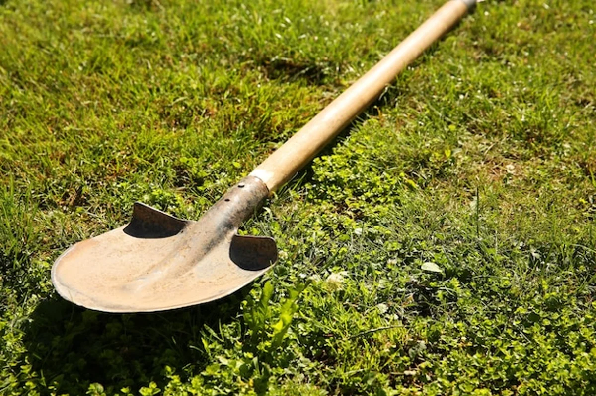 rusty shovel in garden close up