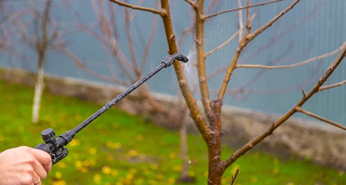 apple tree natural pest protection organic garden