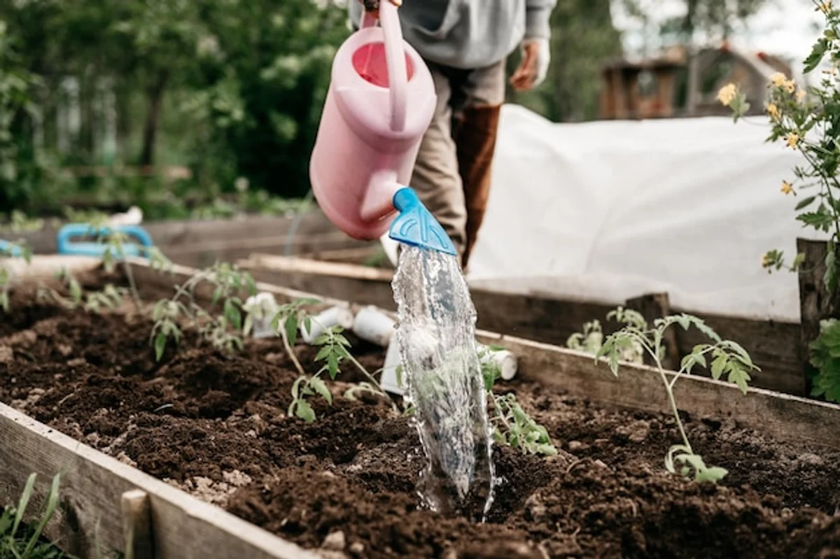 raised garden bed senior gardening