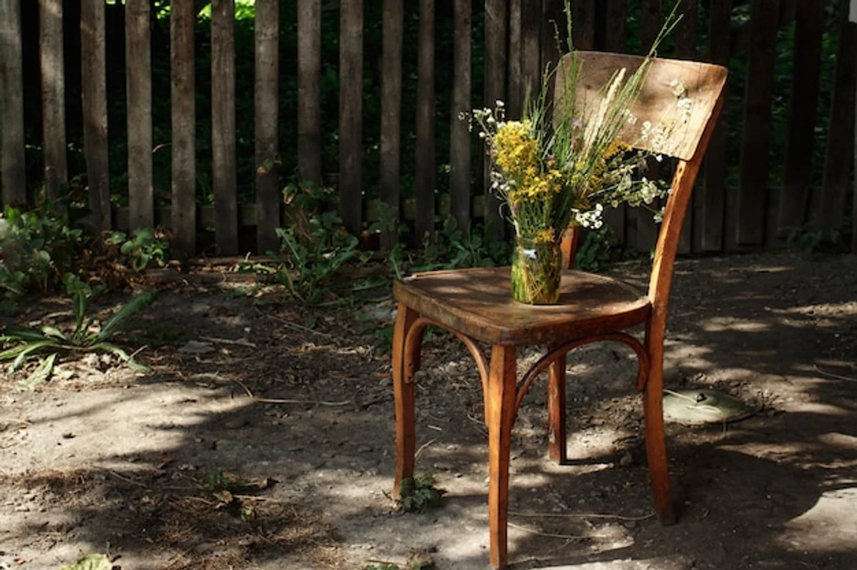 wild garden with natural plants and seating