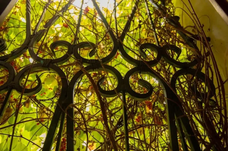 garden mirror illusion modern backyard