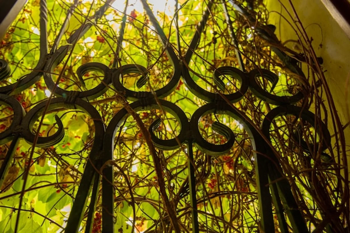 garden mirror illusion modern backyard