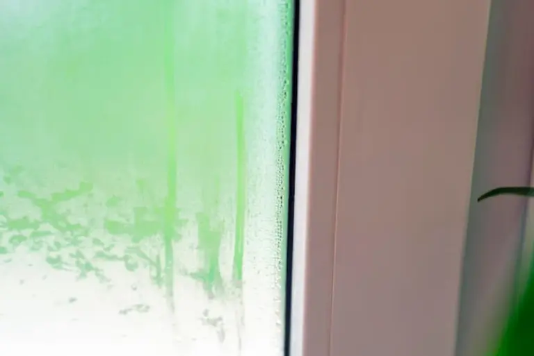 greenhouse condensation problem