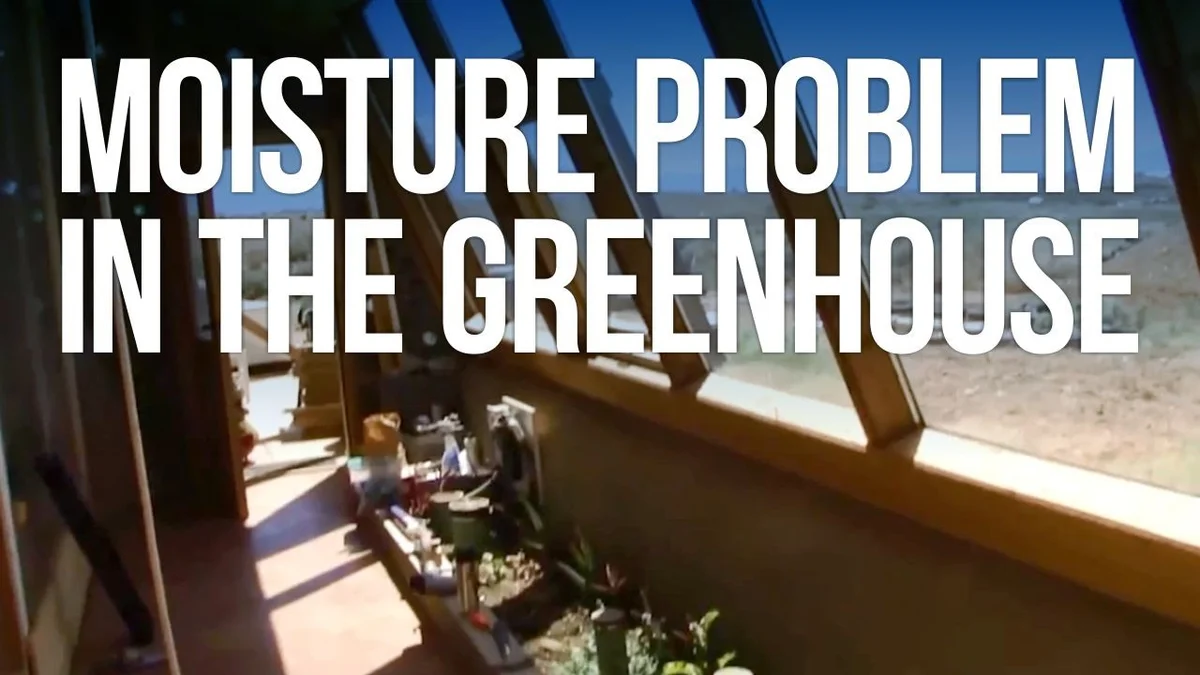 condensation greenhouse problem mold