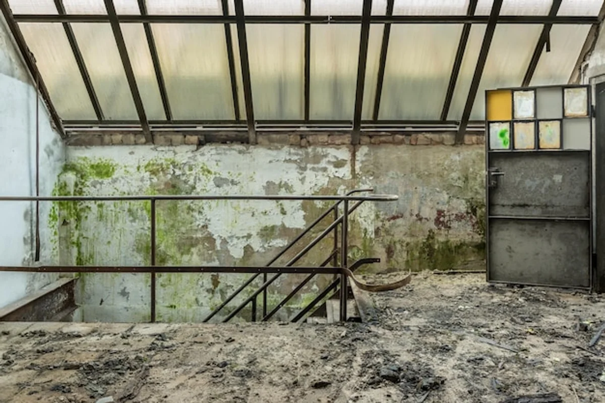 ventilating greenhouse against mold