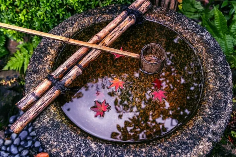 elderly feng shui autumn garden