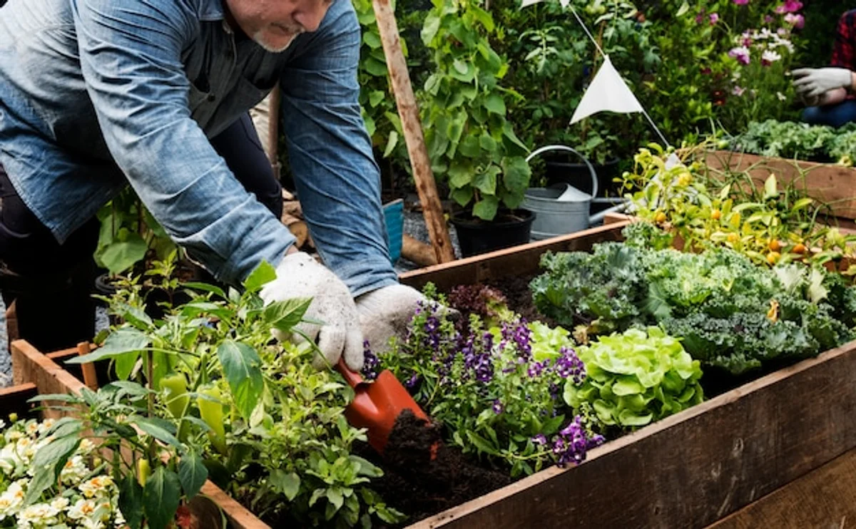 raised garden bed elderly