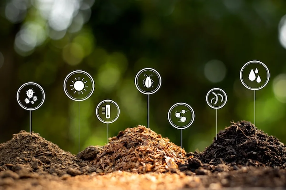 sawdust use lawn garden eco-friendly