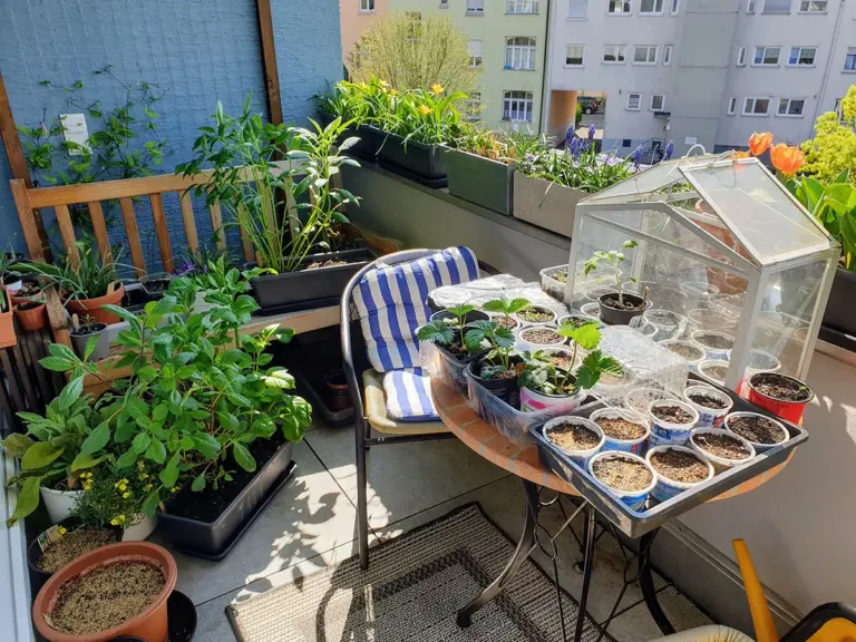 spring gardening in germany, balcony garden, early planting tips