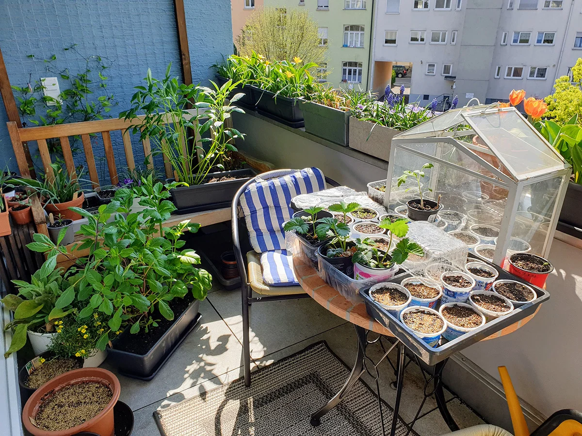 spring gardening in germany, balcony garden, early planting tips