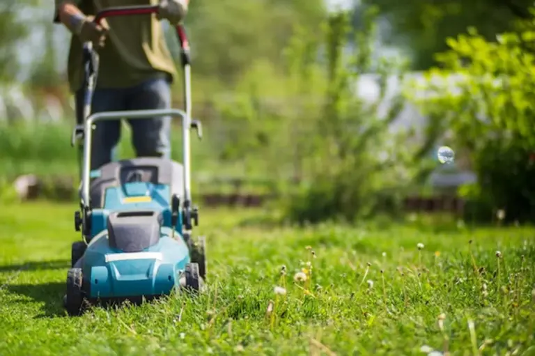 cordless lawn mower modern garden