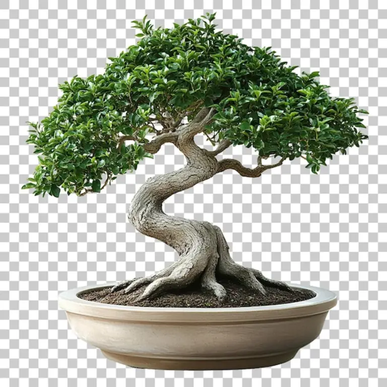 modern lucky indoor plant feng shui home harmony