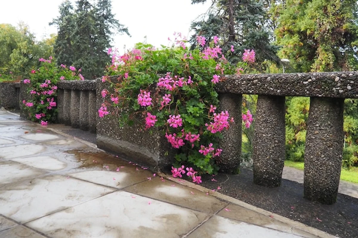 herbs vertical wall small garden germany