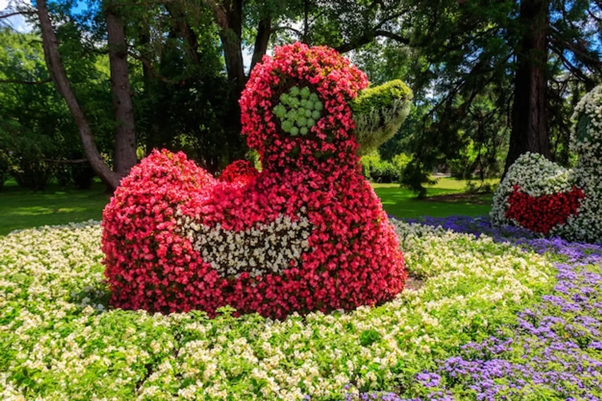 german natural garden flowers wildlife