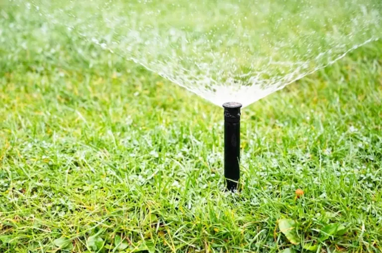 water saving garden tips drought Germany