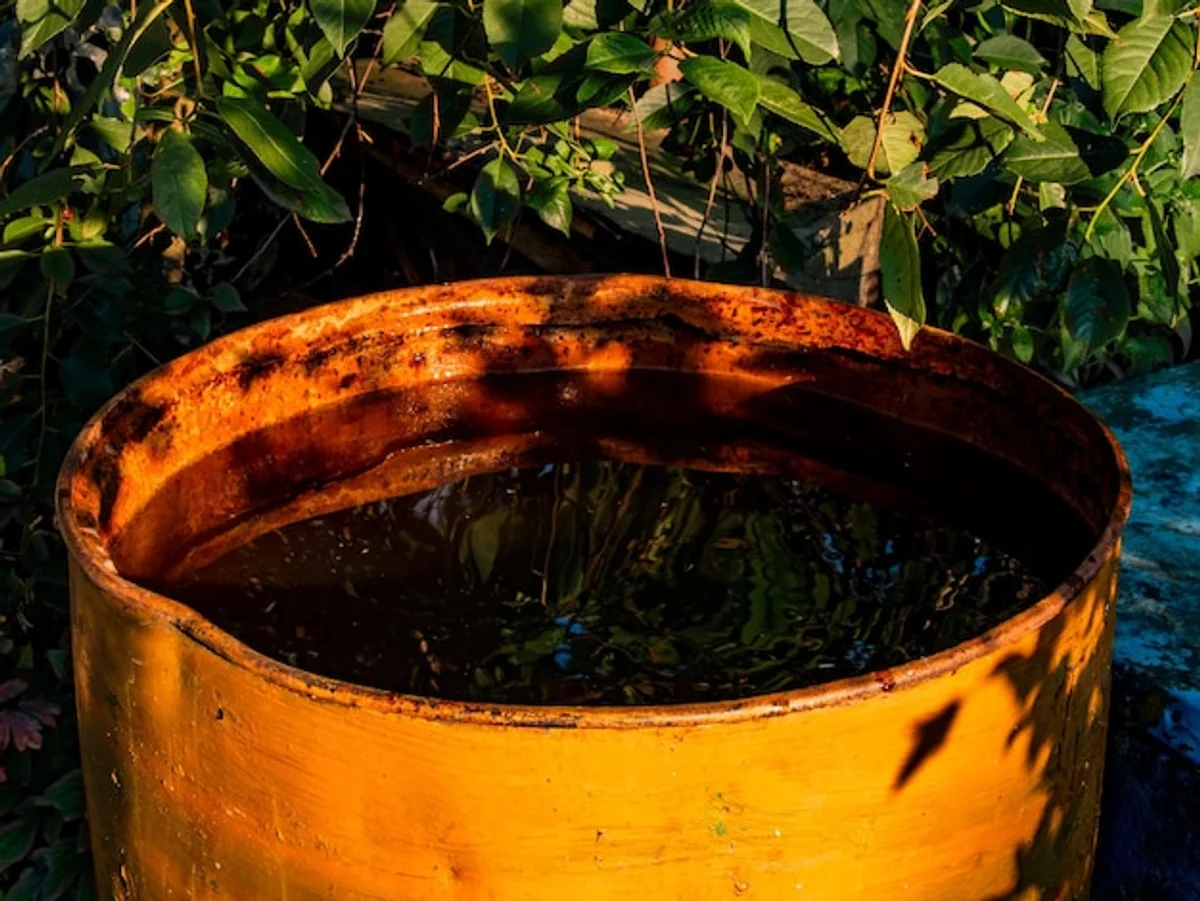 rainwater collection barrel garden Germany summer