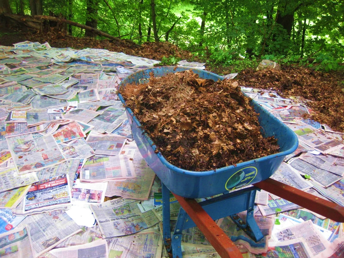 newspaper mulch indoor plants moisture conservation