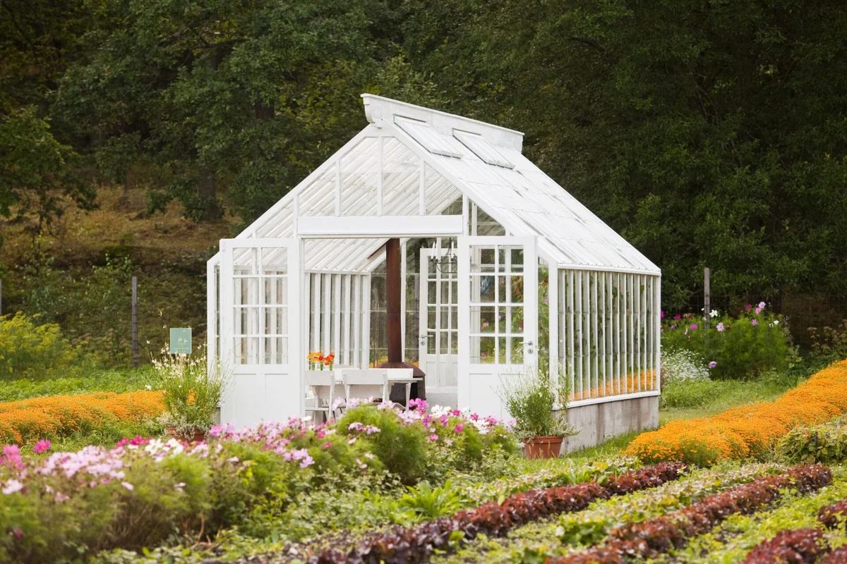 recycled greenhouse from old windows Germany allotment