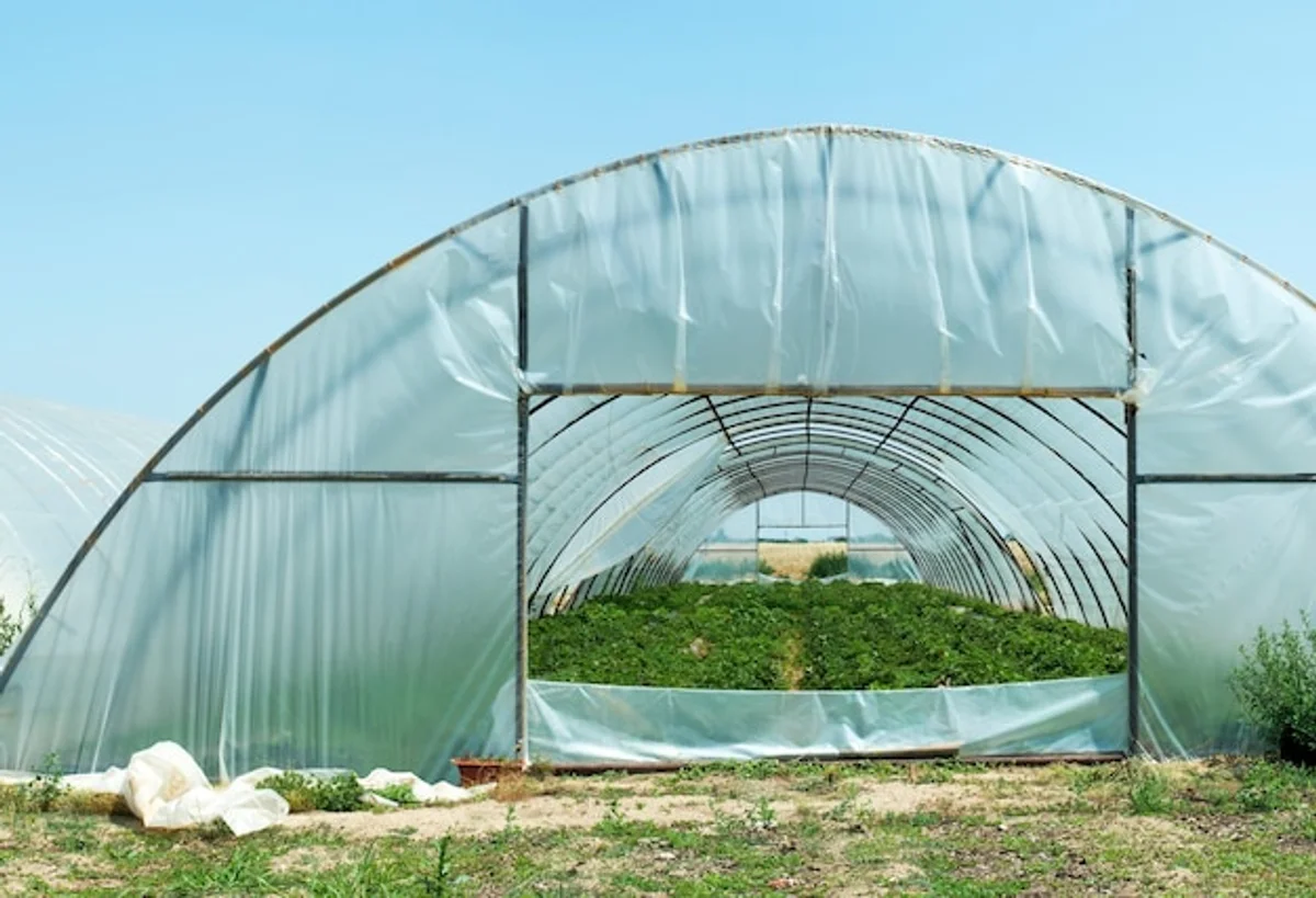 DIY Mini greenhouse with reused plastic sheet in garden